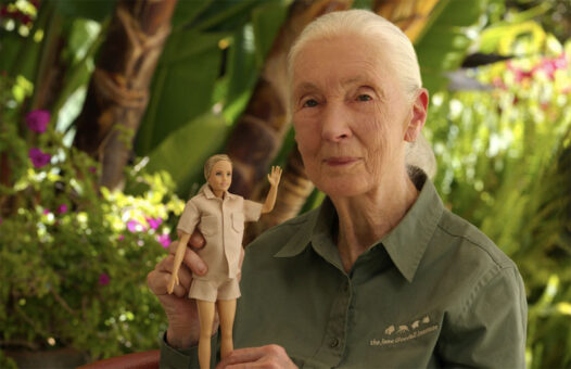 Barbie Jane Goodall, una nueva Barbie fabricada con plástico reciclado procedente del océano 1
