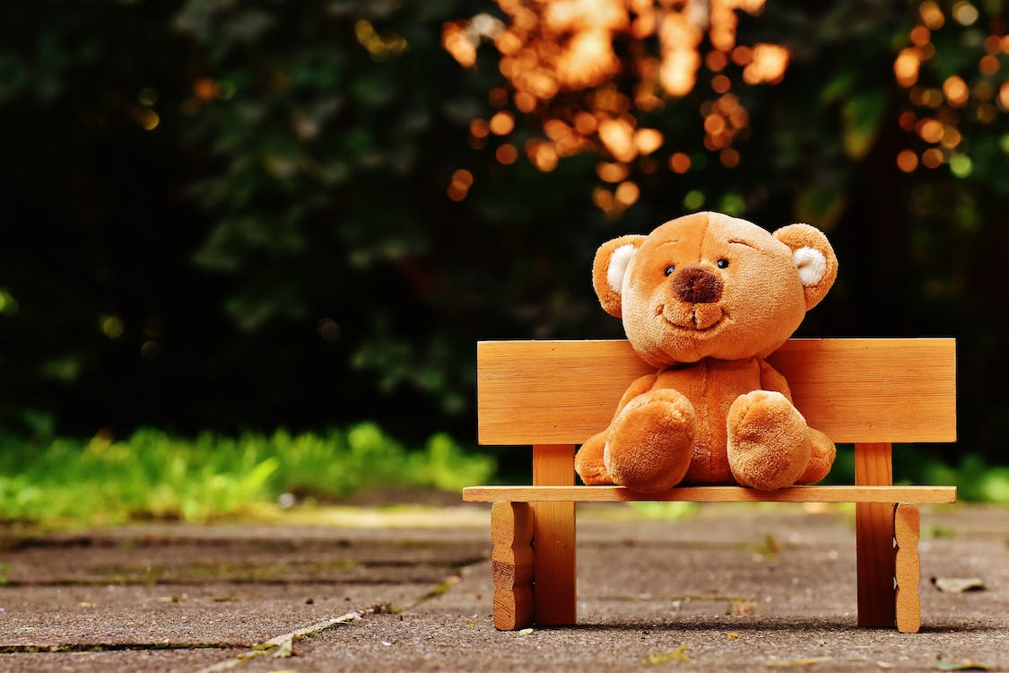 desarrollo infantil