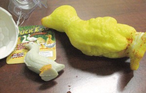 Peligro con los juguetes que aumentan de tamaño 1