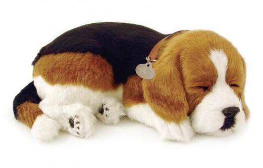 mascotas juguetes